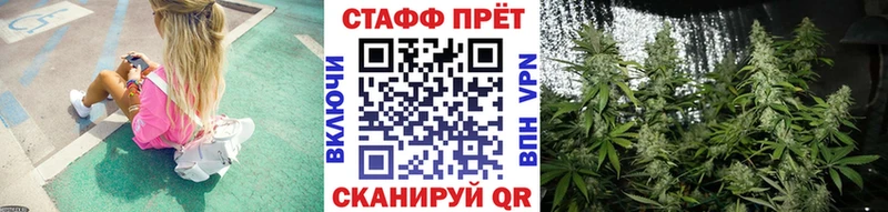 Где купить наркоту Железногорск-Илимский Амфетамин  Каннабис  COCAIN  Мефедрон  Гашиш  A-PVP 