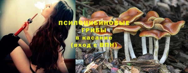 бошки Горняк