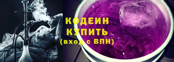 ГАЛЛЮЦИНОГЕННЫЕ ГРИБЫ Верея