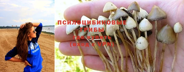 трава Волоколамск