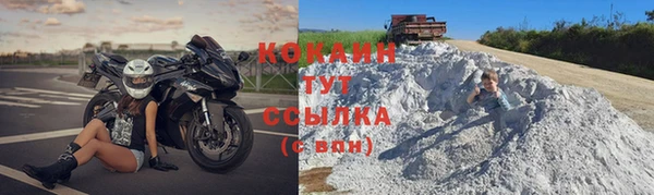 ГАЛЛЮЦИНОГЕННЫЕ ГРИБЫ Верея