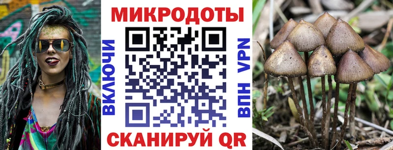 Псилоцибиновые грибы Cubensis  KRAKEN рабочий сайт  Железногорск-Илимский 