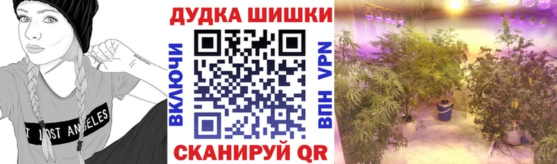 Канабис тримм  закладка  Железногорск-Илимский 